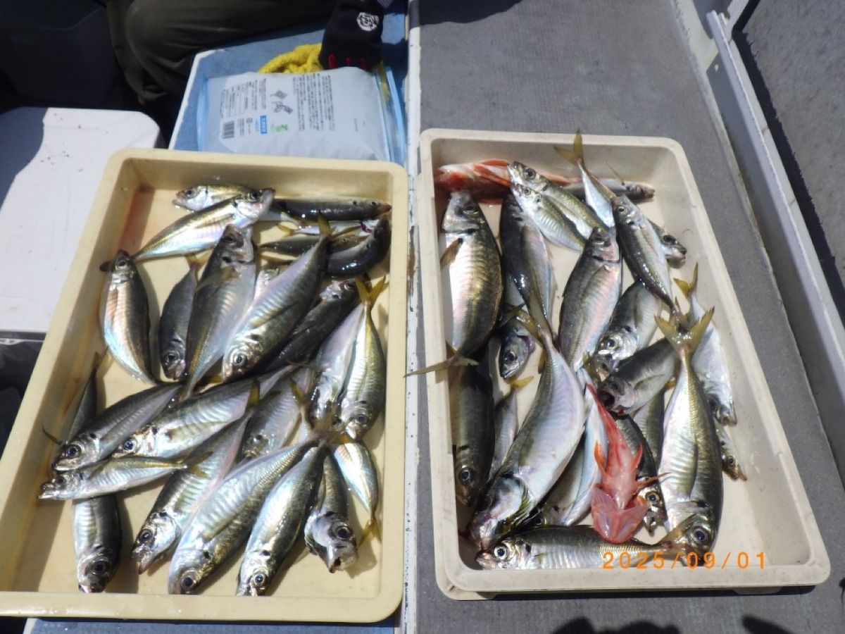 石川釣船@船長さんの釣果 3枚目の画像