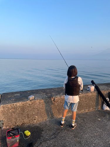 オオモンハタの釣果