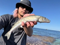 釣果