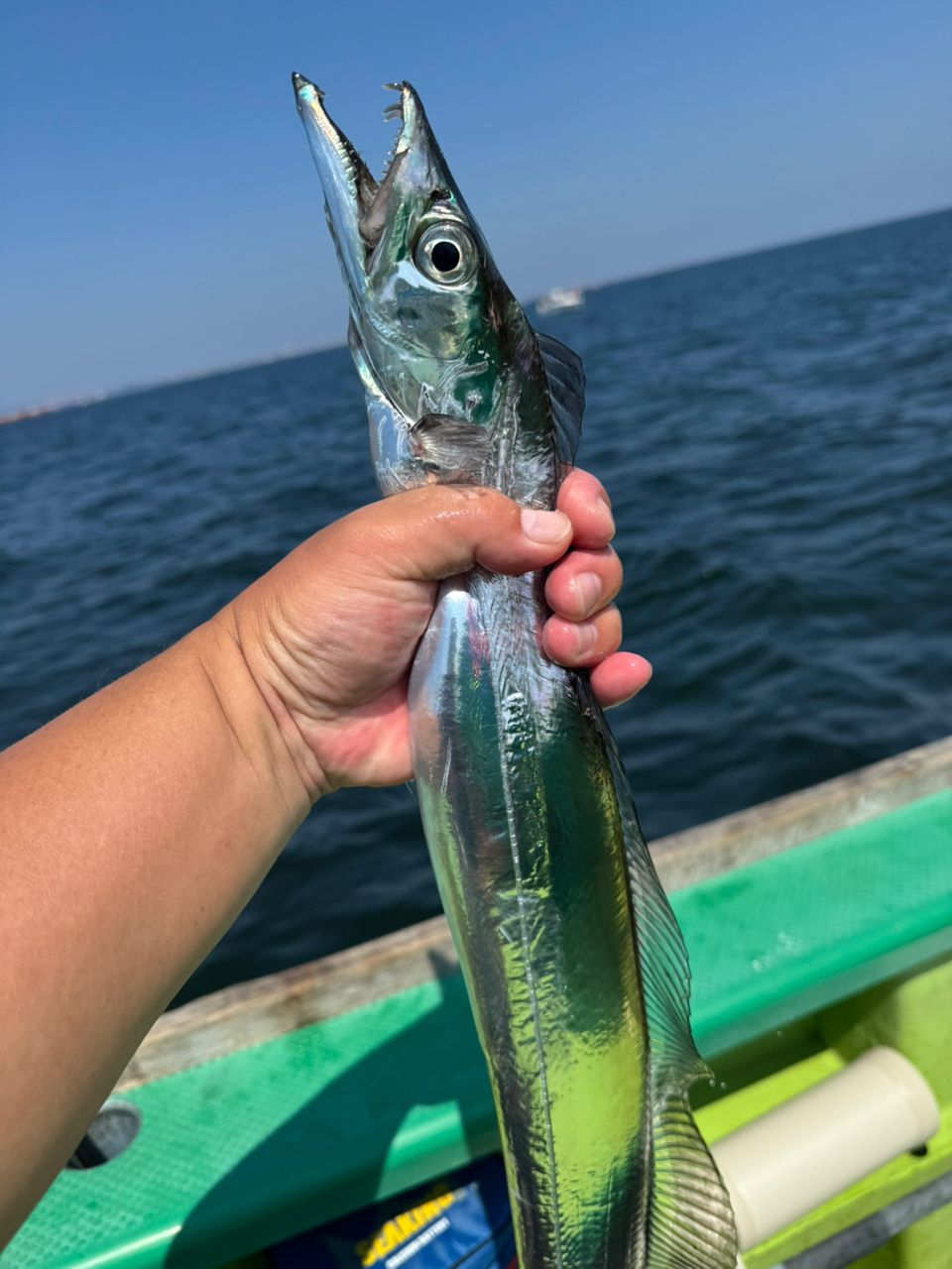 若造りジャパンさんの釣果 3枚目の画像