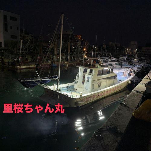 タチウオの釣果