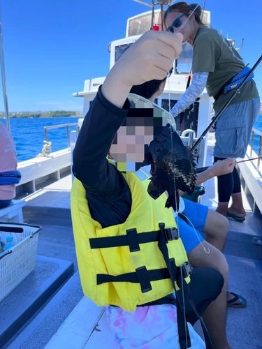 クロスズメダイの釣果