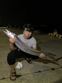 タチウオの釣果