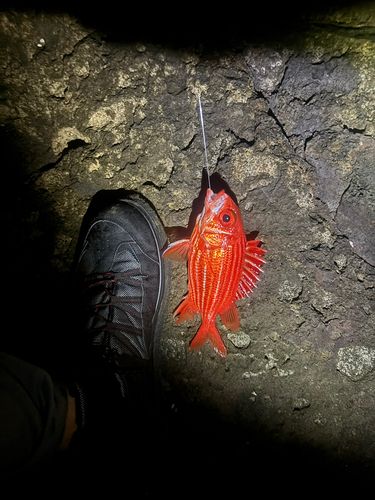 神子元島