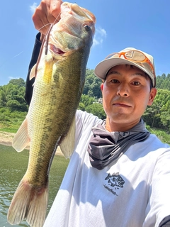 ラージマウスバスの釣果