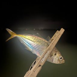 アジ