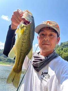 ラージマウスバスの釣果