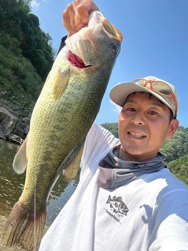 ラージマウスバスの釣果