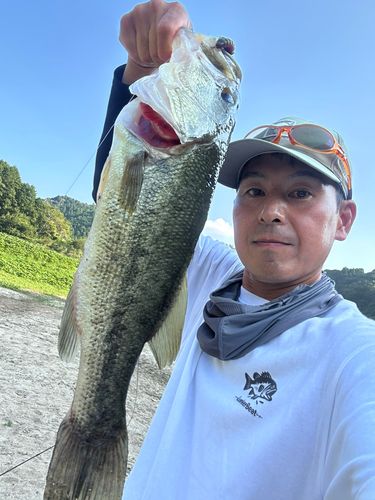 ラージマウスバスの釣果