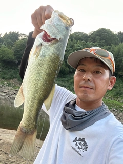 ラージマウスバスの釣果