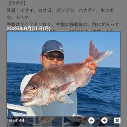 マダイ