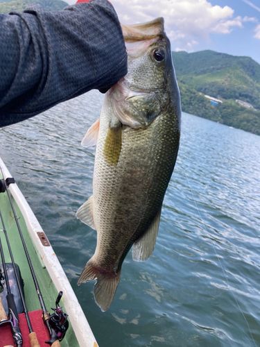 相模湖