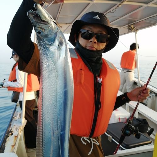 タチウオの釣果