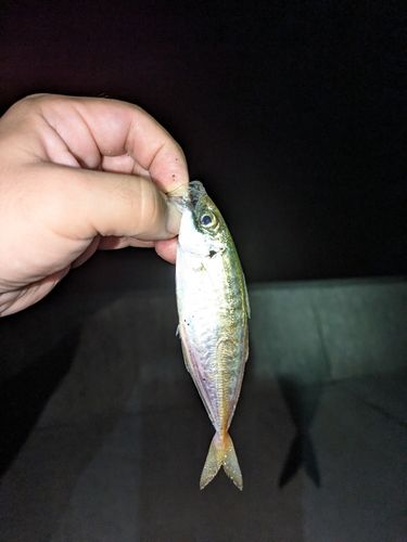 小石浜漁港