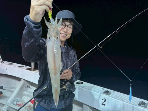 ケンサキイカの釣果