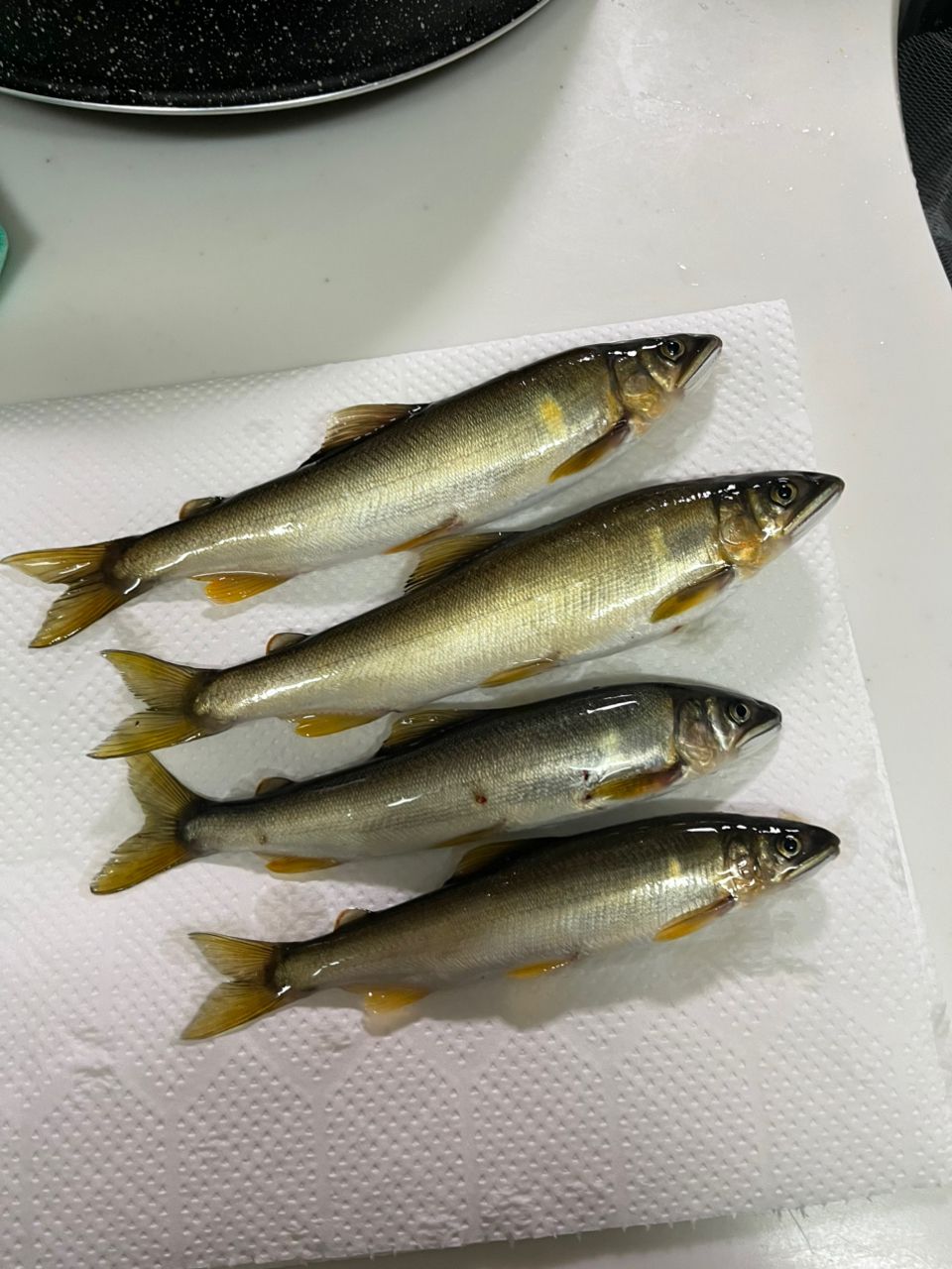 アユ