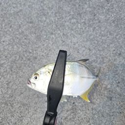 メッキ