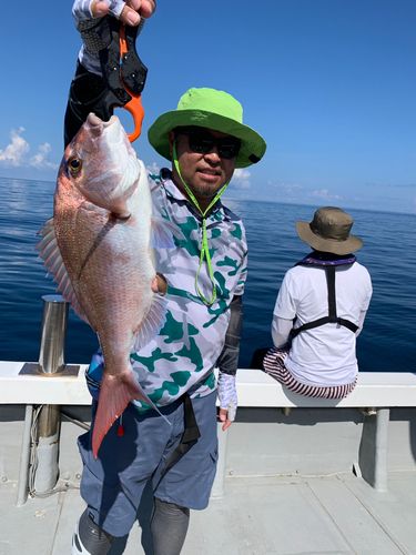タイの釣果