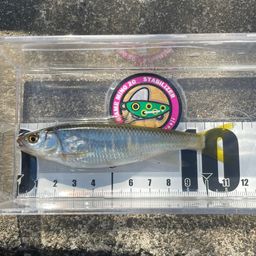 オイカワ