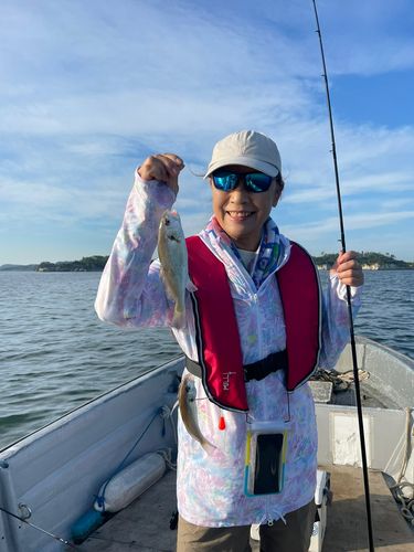 イシモチの釣果