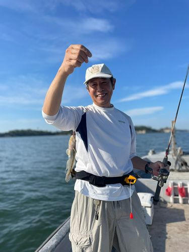 マハゼの釣果