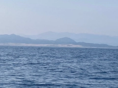 シオの釣果