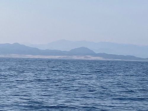 シオの釣果