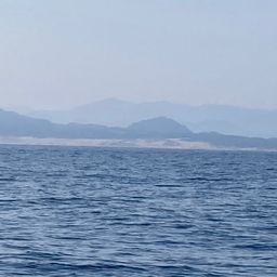 シオ