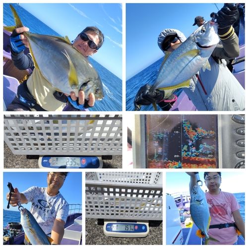 シマアジの釣果