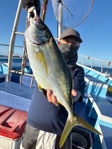 シマアジの釣果