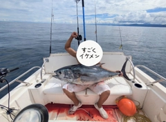 クロマグロの釣果