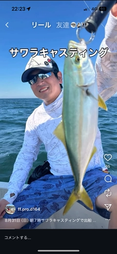 ツバスの釣果