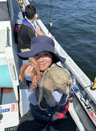 タコの釣果