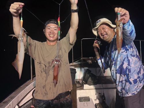 ケンサキイカの釣果