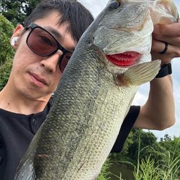 ブラックバス