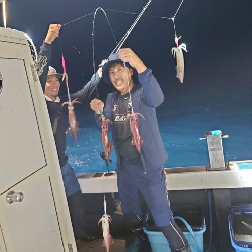 ヤリイカの釣果