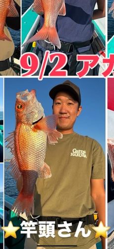 アカムツの釣果