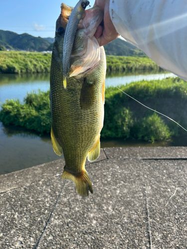 波介川