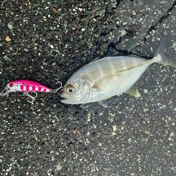 メッキ