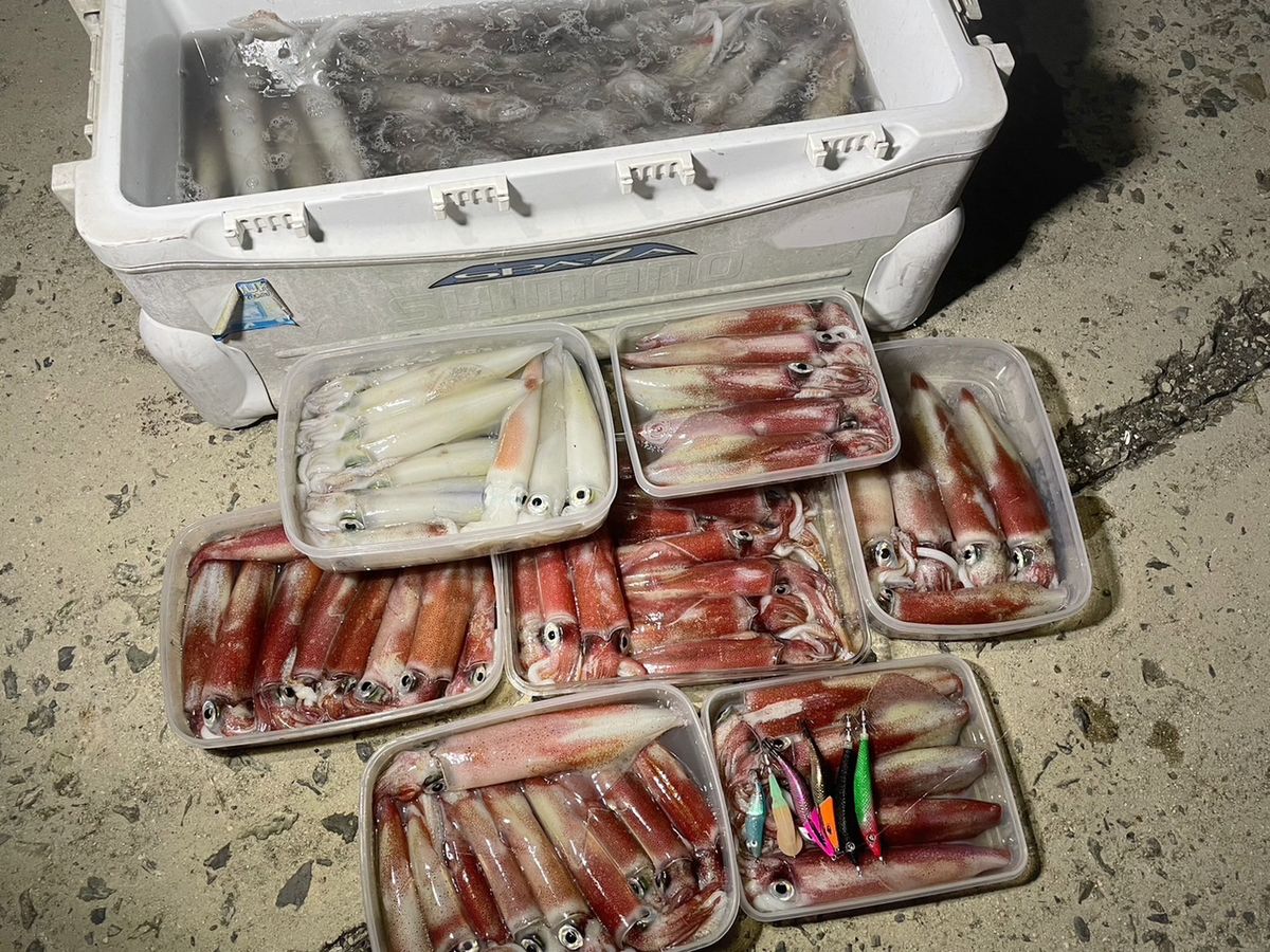 釣りガールみかんさんの釣果 3枚目の画像