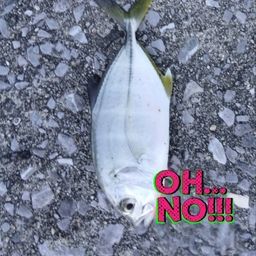メッキ