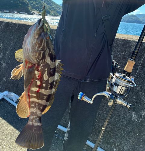 釣果
