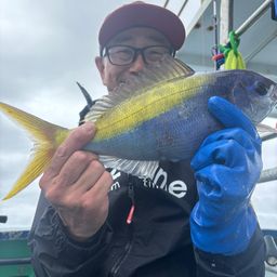 ウメイロ