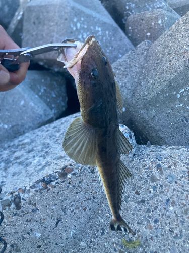 霞釣り公園
