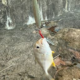 メッキ