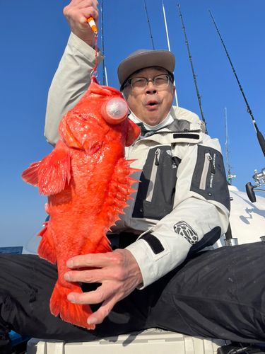 アコウダイの釣果