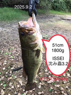 ブラックバスの釣果