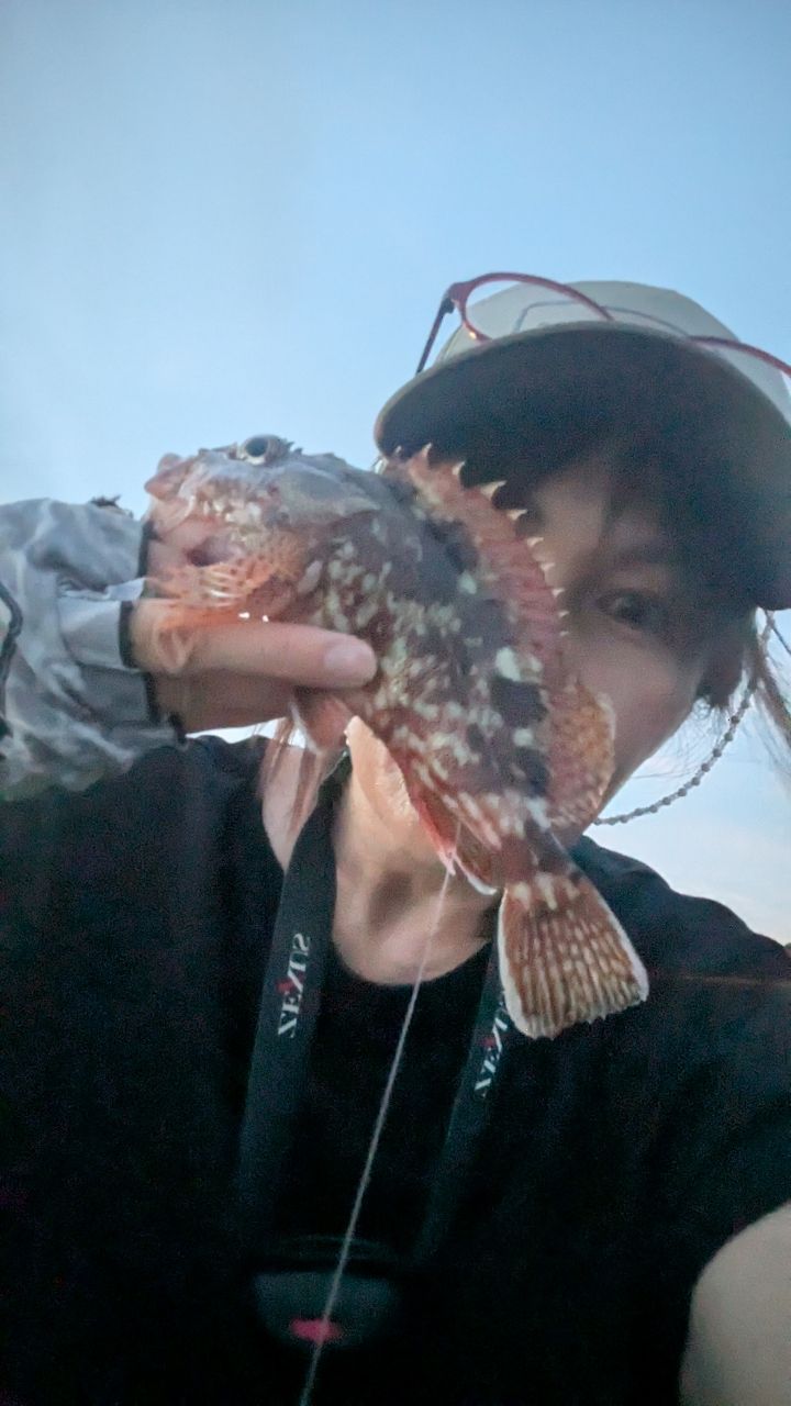カサゴ