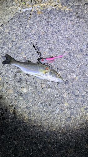 日本鋼管付近