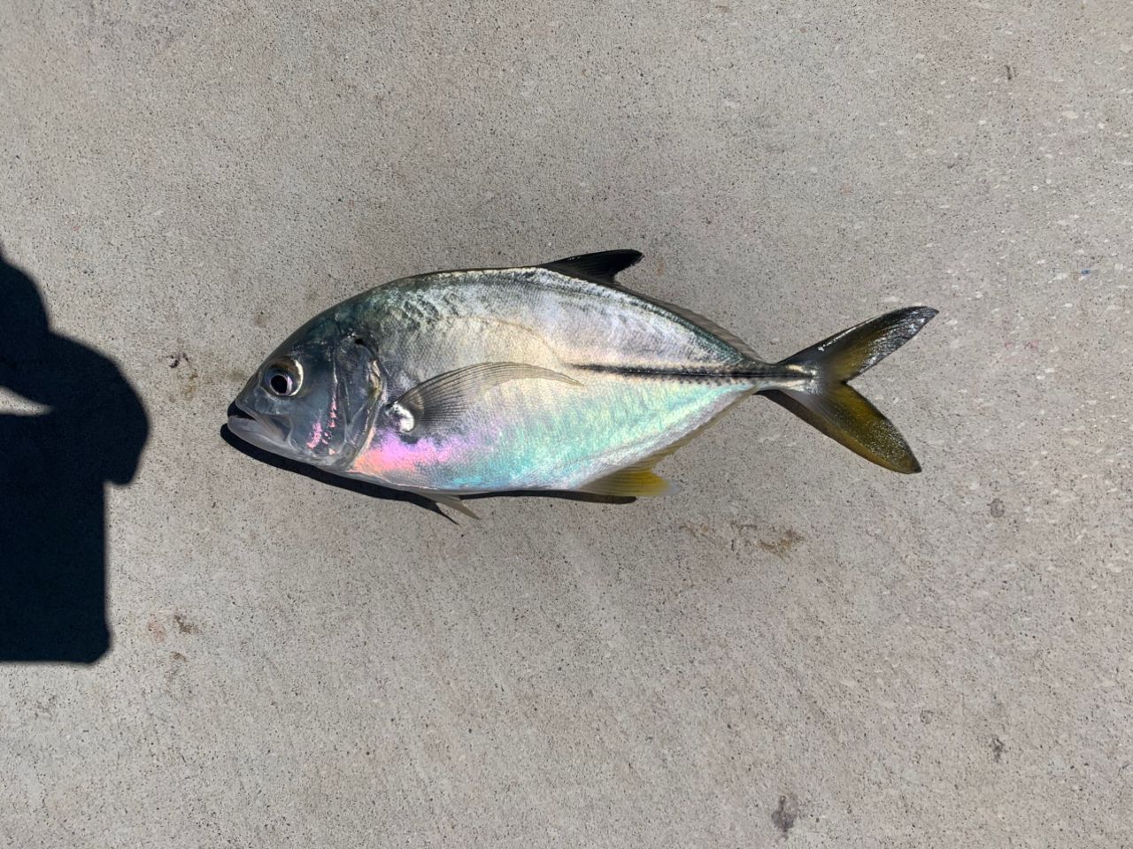 メッキ